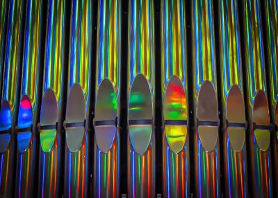 Organ Pipes