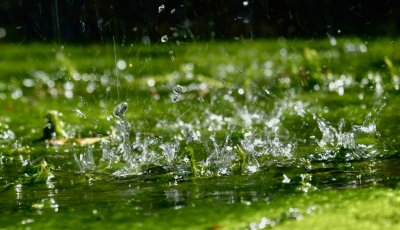 Splash